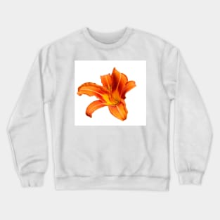 Orange Lily Crewneck Sweatshirt